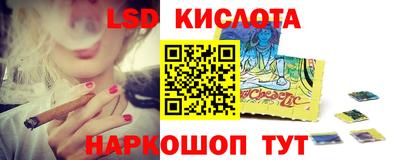 стаф Сланцы