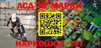 стаф Сланцы
