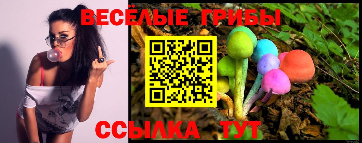 Галлюциногенные грибы Magic Shrooms  Вход с VPN  Ачинск 